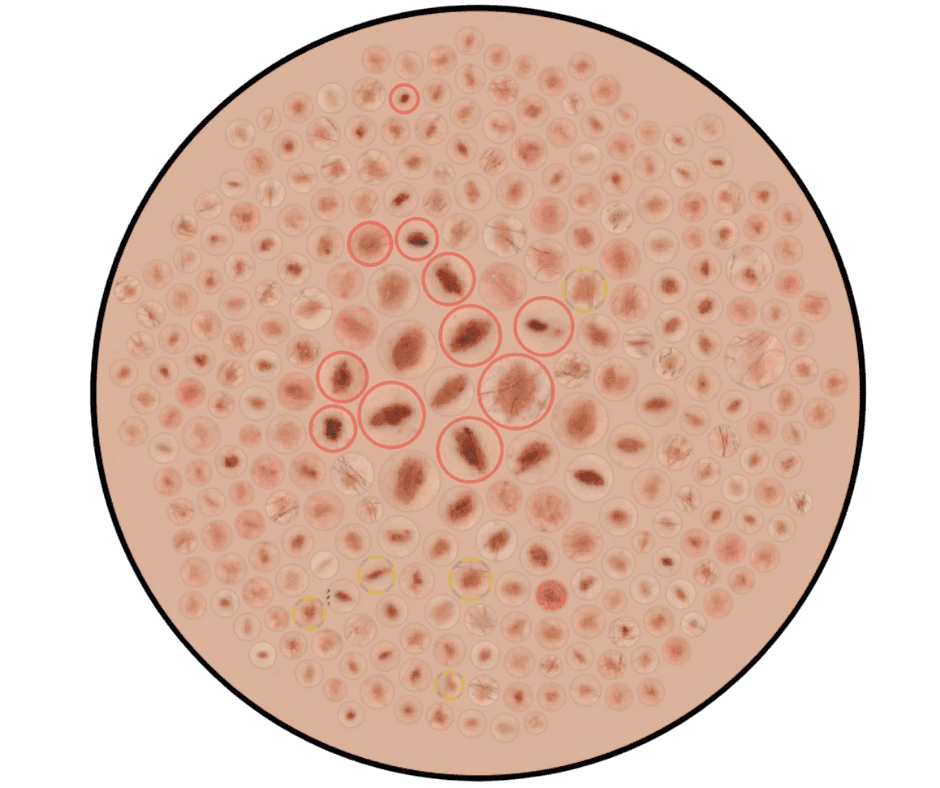 Patient peace of mind