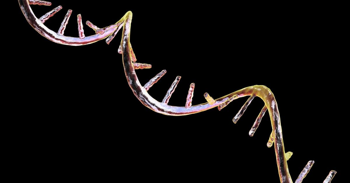 The Melanoma mRNA Vaccine Reaches a 5-Year Milestone: What It Means